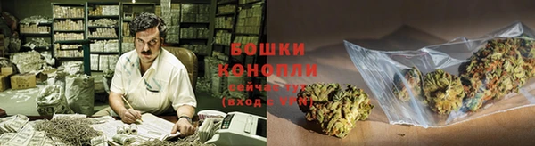 амф Касимов