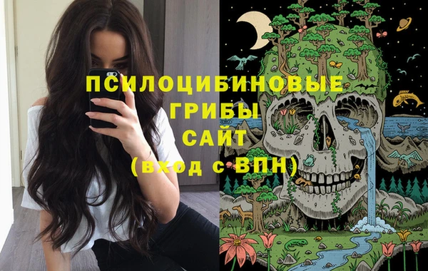 Альфа ПВП Карпинск
